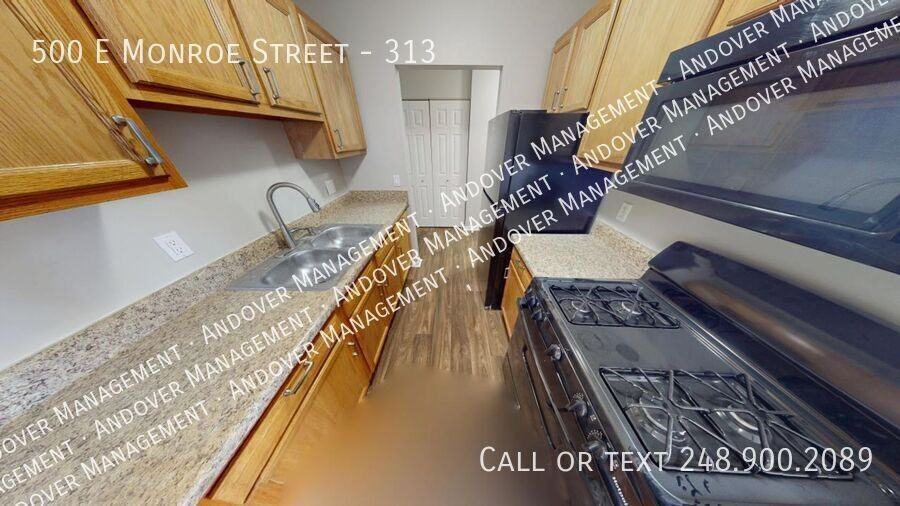 500 E Monroe St #313 - Photo 3 of 19