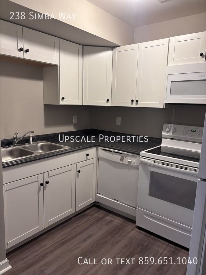 238 Simba Way - Photo 4 of 14