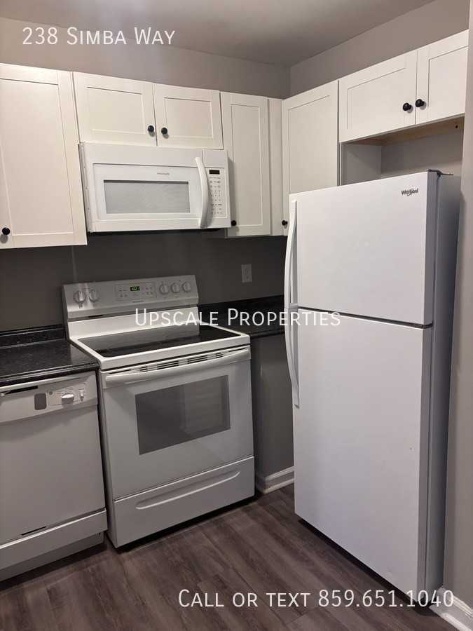 238 Simba Way - Photo 5 of 14