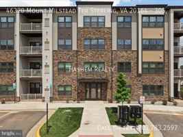 featured image of 46320 Mount Milstead Ter #305