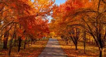 featured image of 27210 S Highway 125