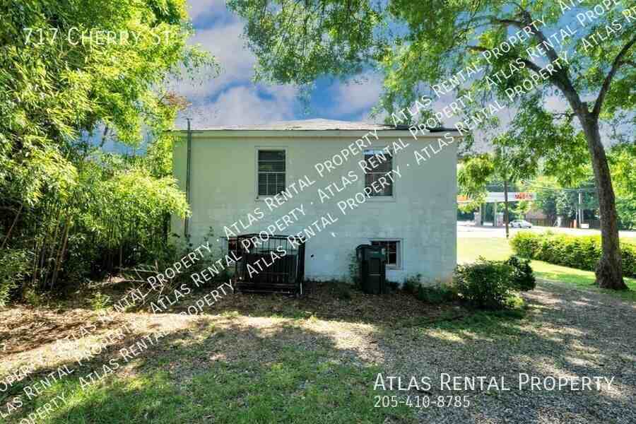 717 Cherry St - Photo 5 of 20