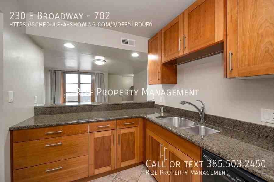 230 E Broadway #702 - Photo 5 of 17