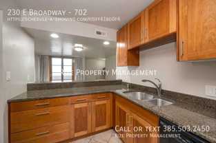 230 E Broadway #702 - Photo 1 of 1