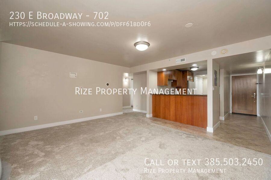 230 E Broadway #702 - Photo 6 of 17