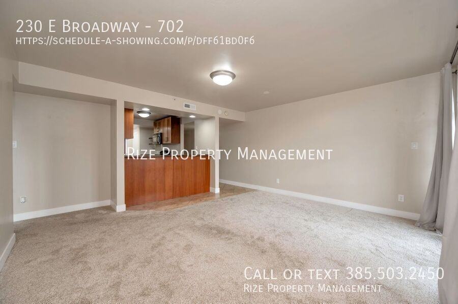 230 E Broadway #702 - Photo 7 of 17