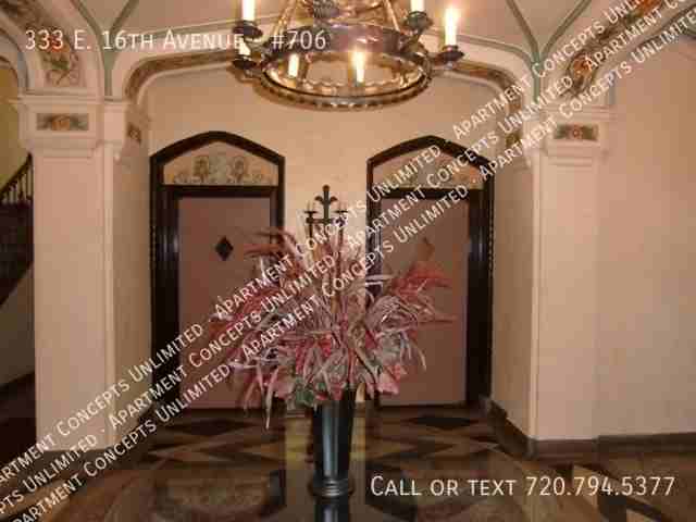 333 E 16th Ave #706 - Photo 4 of 14