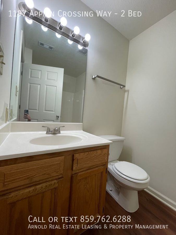 1197 Appian Crossing Way - Photo 7 of 13