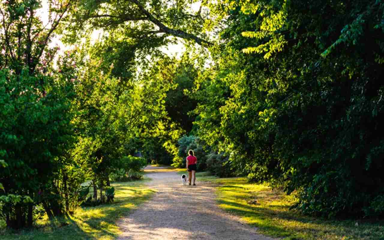 6320 N Lamar Blvd - Photo 6 of 21