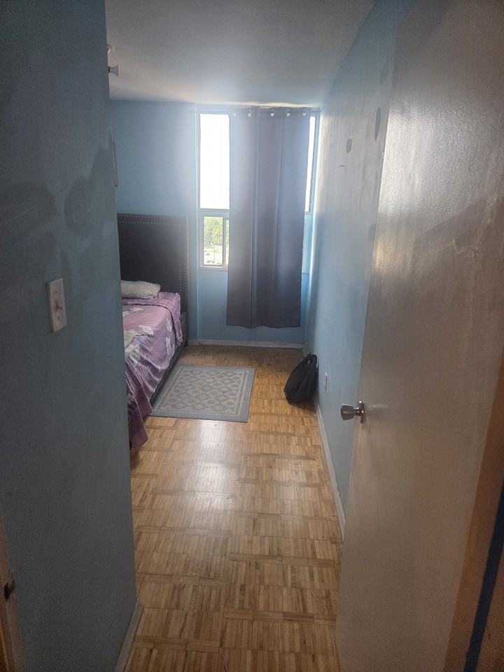 Silver Creek Blvd & Lolita Gardens - Photo 4 of 11