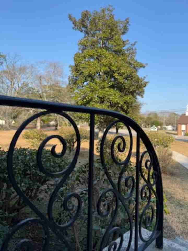 3800 Overbrook Dr - Photo 2 of 19