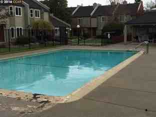 2692 Walnut Blvd - Photo 2 of 3