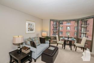 1130 N Dearborn St #0203 - Photo 1 of 1