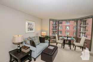 1130 N Dearborn St #0311 - Photo 1 of 1