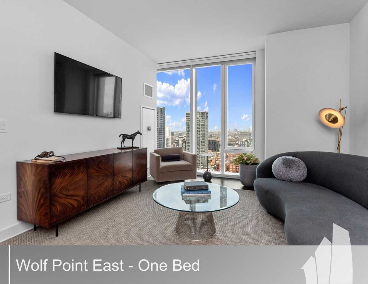 313 W Wolf Point Plz #1603