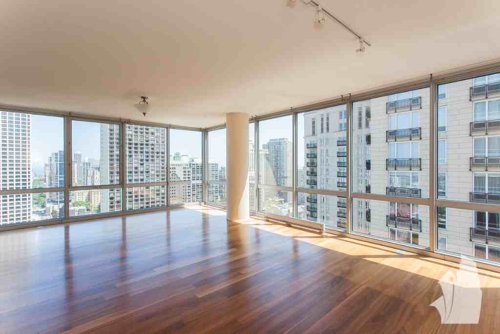 2 W Delaware Pl #1002 - Photo 3 of 10