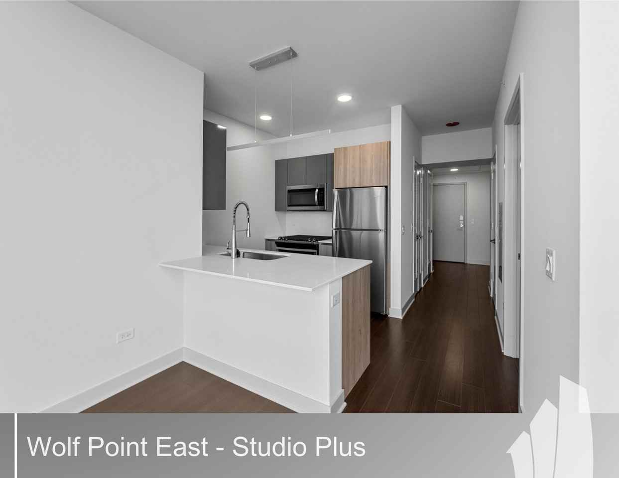 313 W Wolf Point Plz #3908