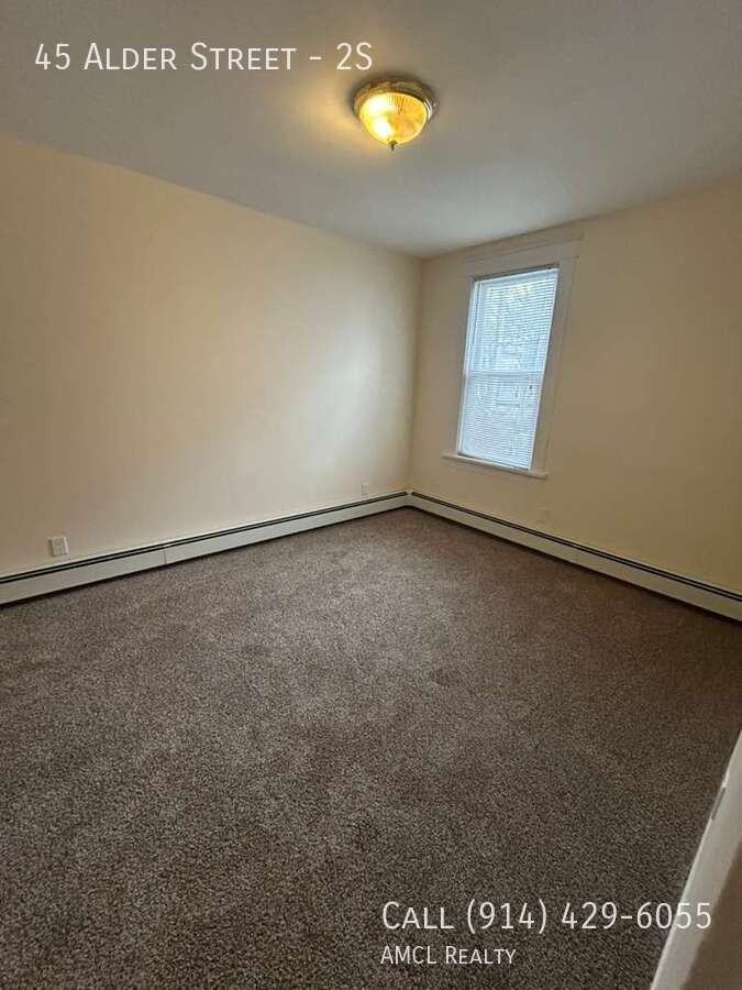 45 Alder St #2S - Photo 4 of 8
