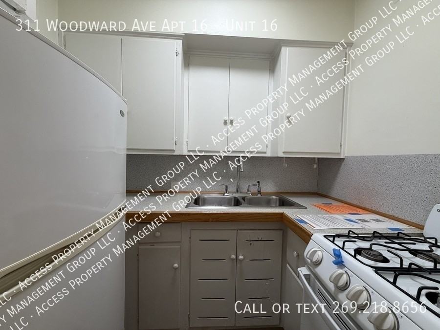 311 Woodward Ave Apt 16 #16 - Photo 4 of 10