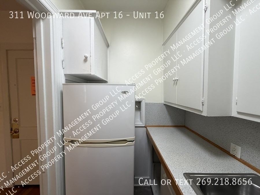 311 Woodward Ave Apt 16 #16 - Photo 6 of 10