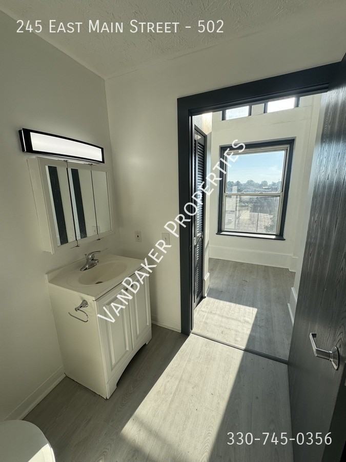 245 E Main St #502 - Photo 7 of 10