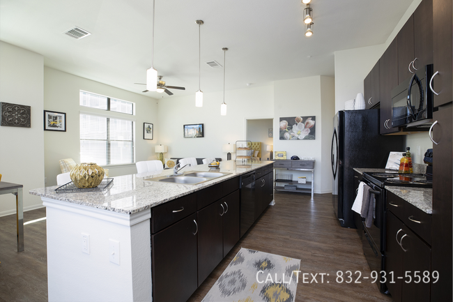 9150 Buffalo Speedway #HM1 - Photo 2 of 10