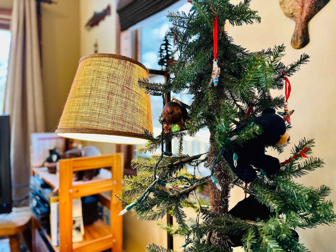 610 Traci Ln #1359846P - Photo 5 of 42