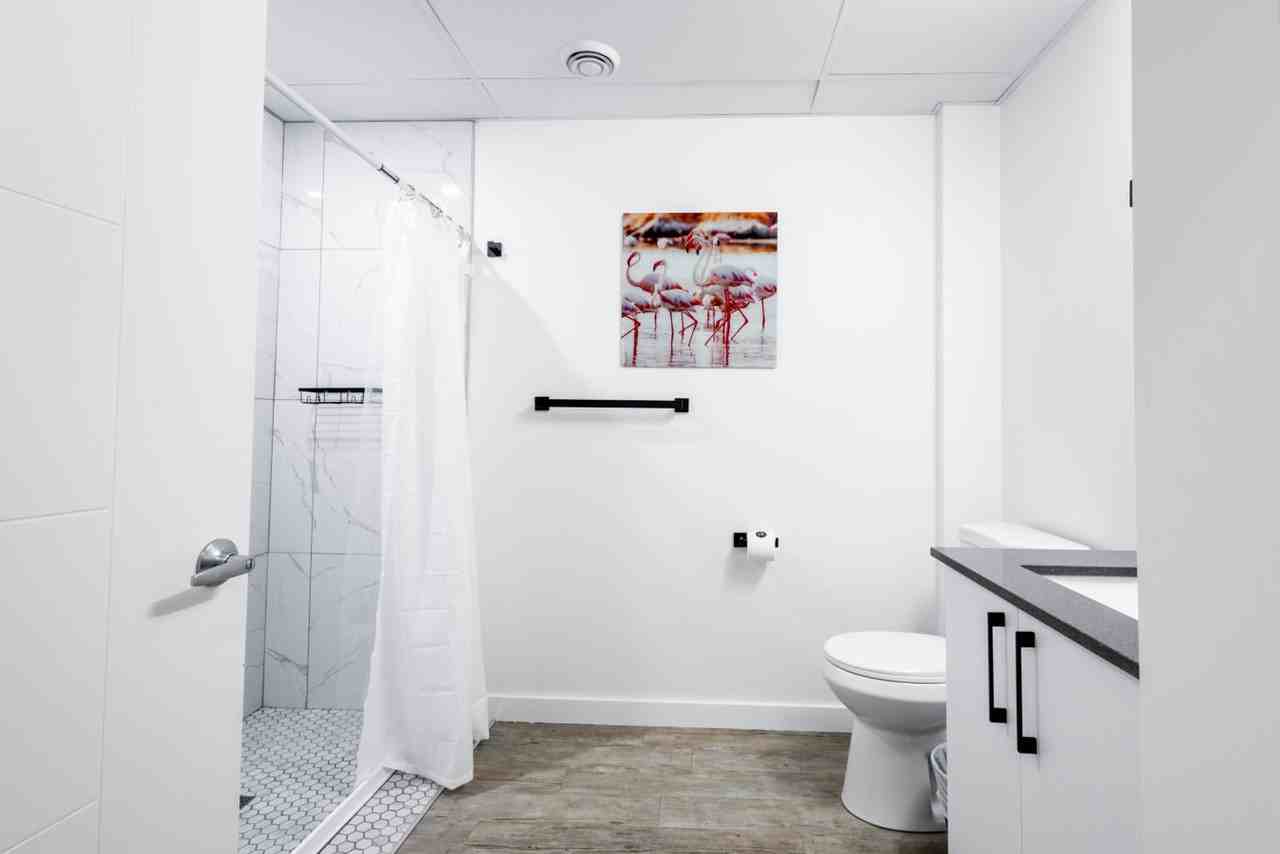 1827 Albert St #1373723P - Photo 6 of 10