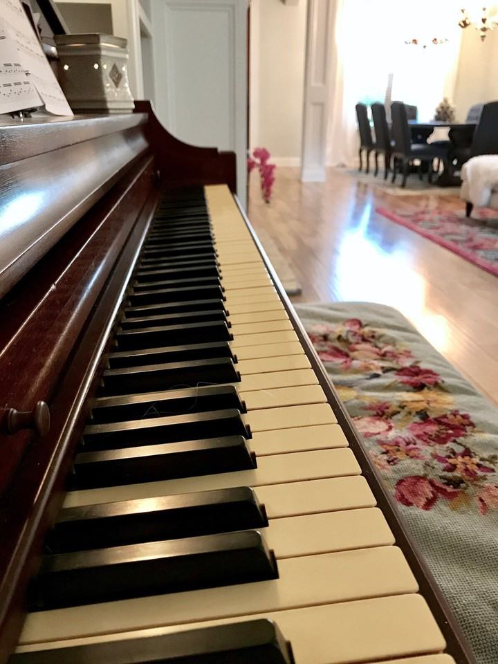 15076 Audubon Lake Blvd #1473642P - Photo 6 of 50