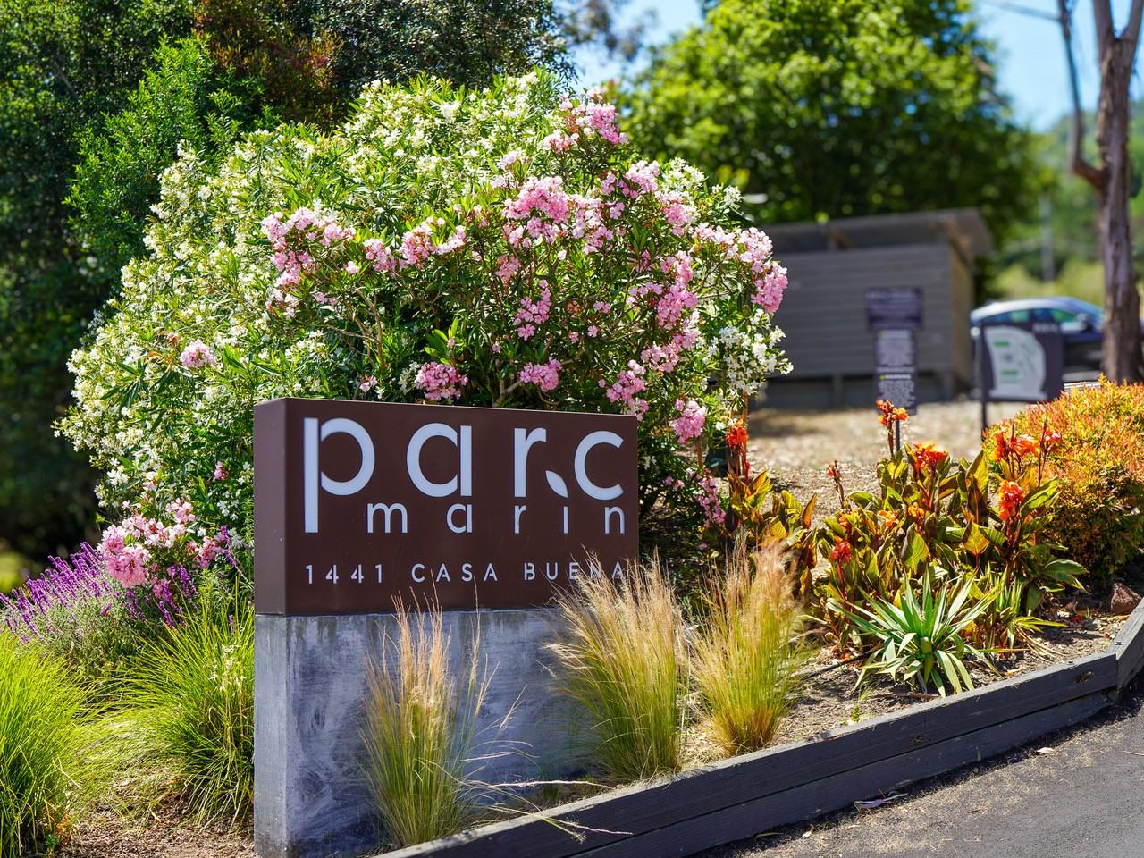 1441 Casa Buena Dr #308 - Photo 7 of 9