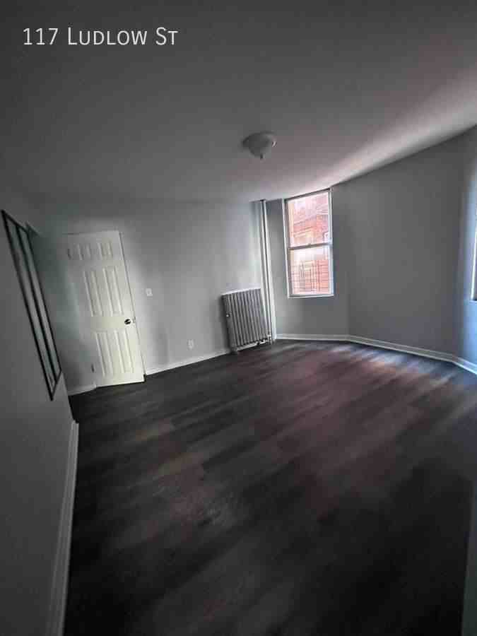 117 Ludlow St - Photo 3 of 4