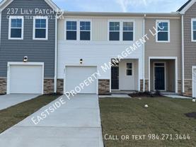 237 Lily Patch Ln - Photo 1 of 1