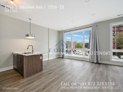 3956 S Indiana Ave #3956-1R - Photo 6 of 12