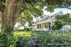 featured image of 145 Saint Francis St