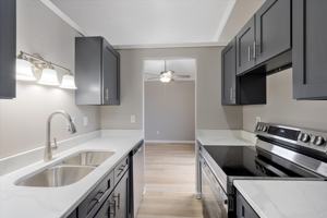 featured image of 2636 Villa Park Dr #D