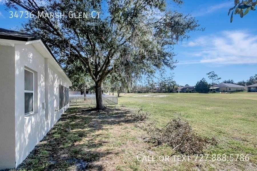 34736 Marsh Glen Ct - Photo 6 of 50