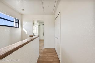 142 Palmetto Ave - Photo 1 of 1