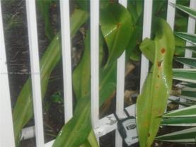 7051 Environ Blvd - Photo 1 of 1