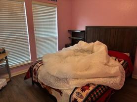 13409 Pine Needle St #13409 - Photo 1 of 1