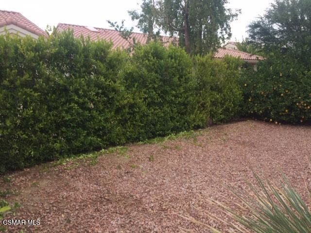 78282 Yucca Blossom Dr #78282 - Photo 2 of 8