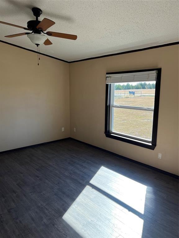 21585 County Road 638 #21585 - Photo 4 of 19