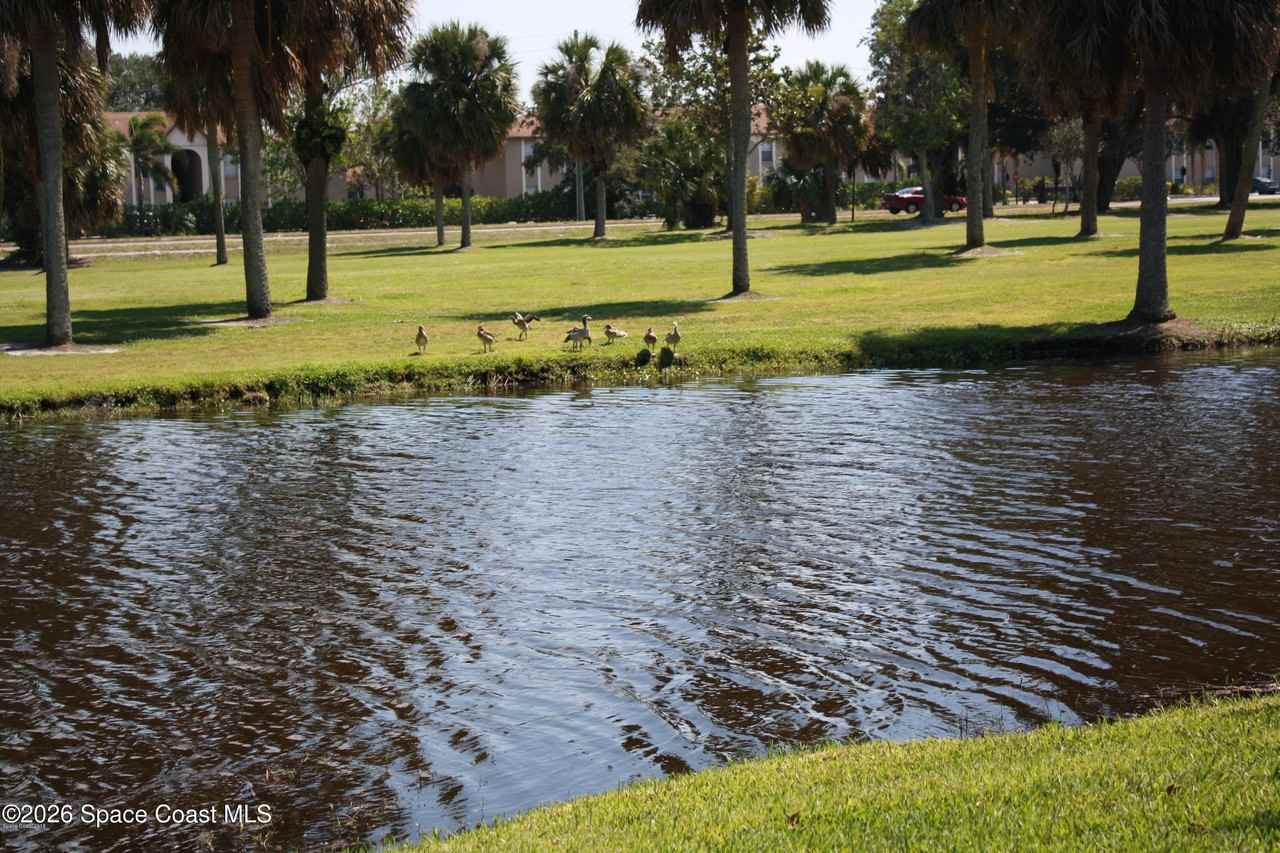 2145 Golf Isle Dr #2145-1221 - Photo 2 of 20