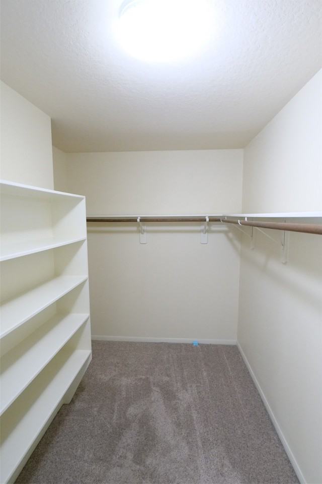 22314 Spring Crossing Dr #22314 - Photo 5 of 35