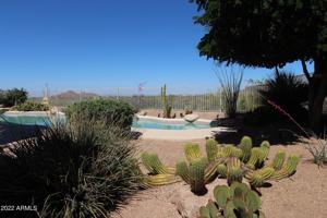 featured image of 34938 N 92nd Pl #34938