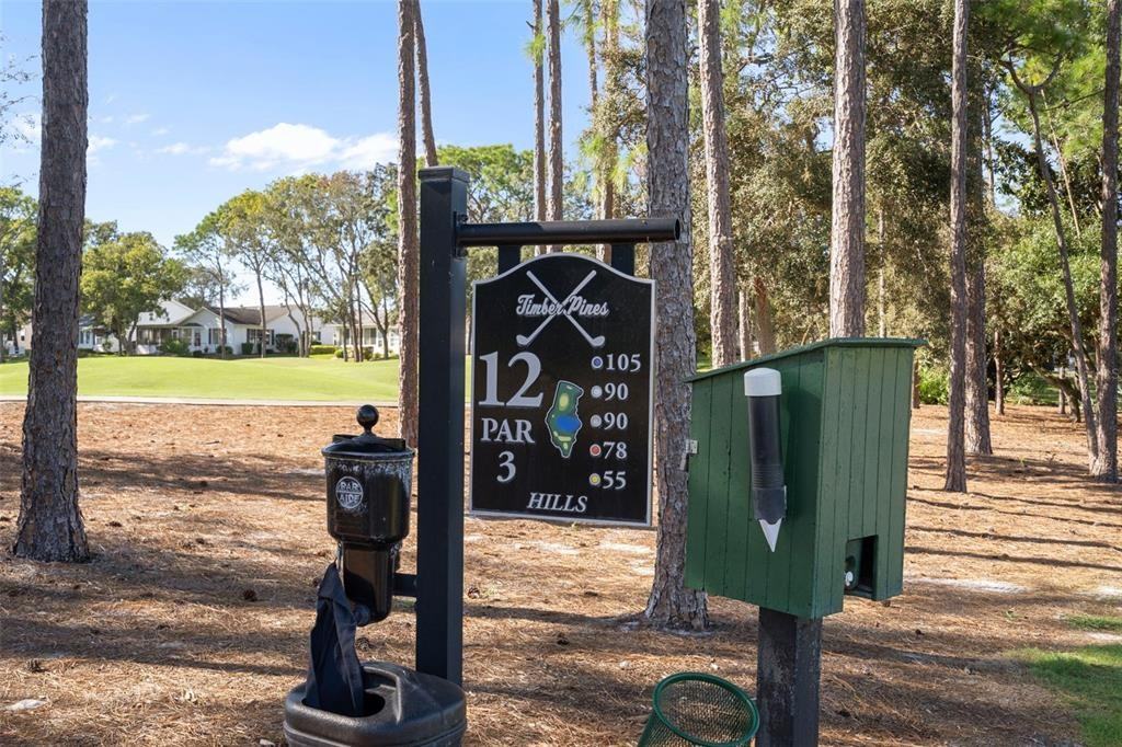 7167 Crown Oaks Dr #7167 - Photo 3 of 36