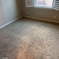 258 Coral Rose - Photo 1 of 1