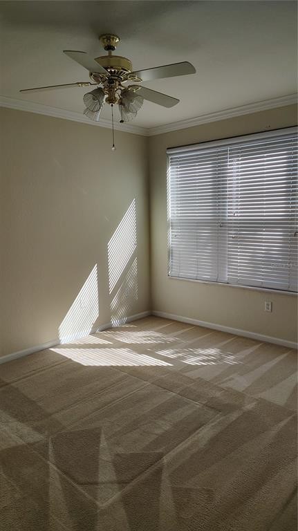 505 Hockendale Cv #505 - Photo 5 of 11