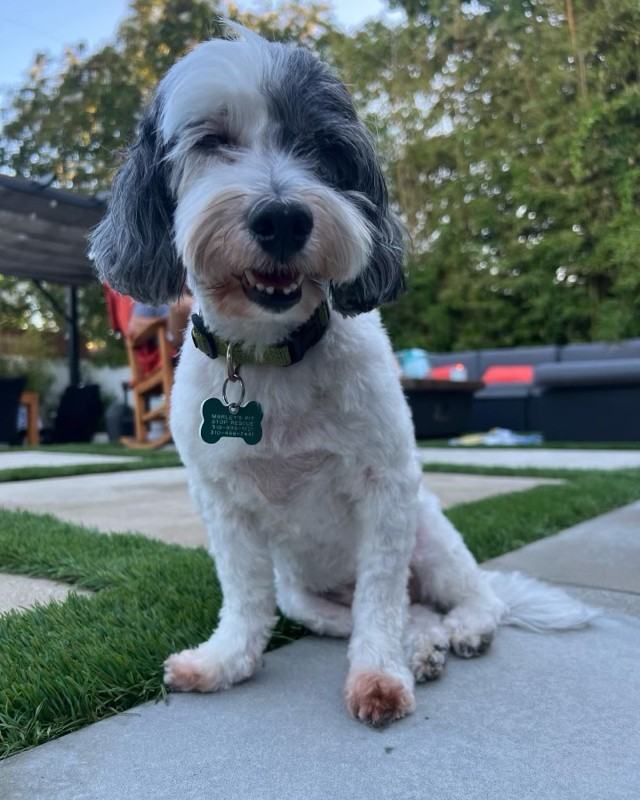 150 Madrona Ave - Photo 4 of 9