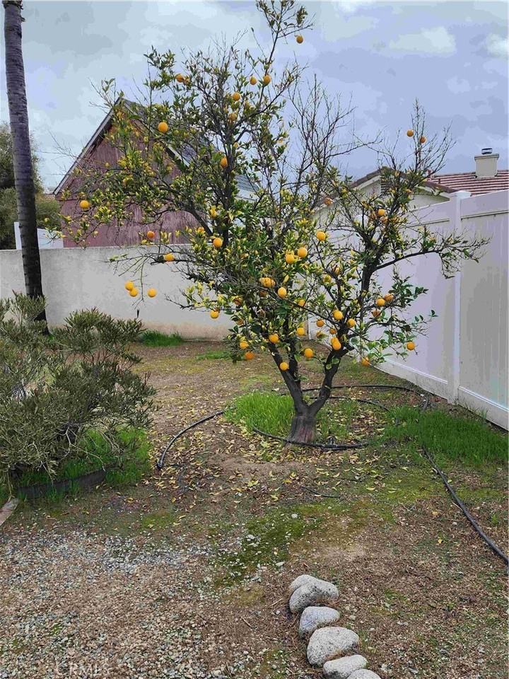 856 Harrow St #856 - Photo 7 of 28