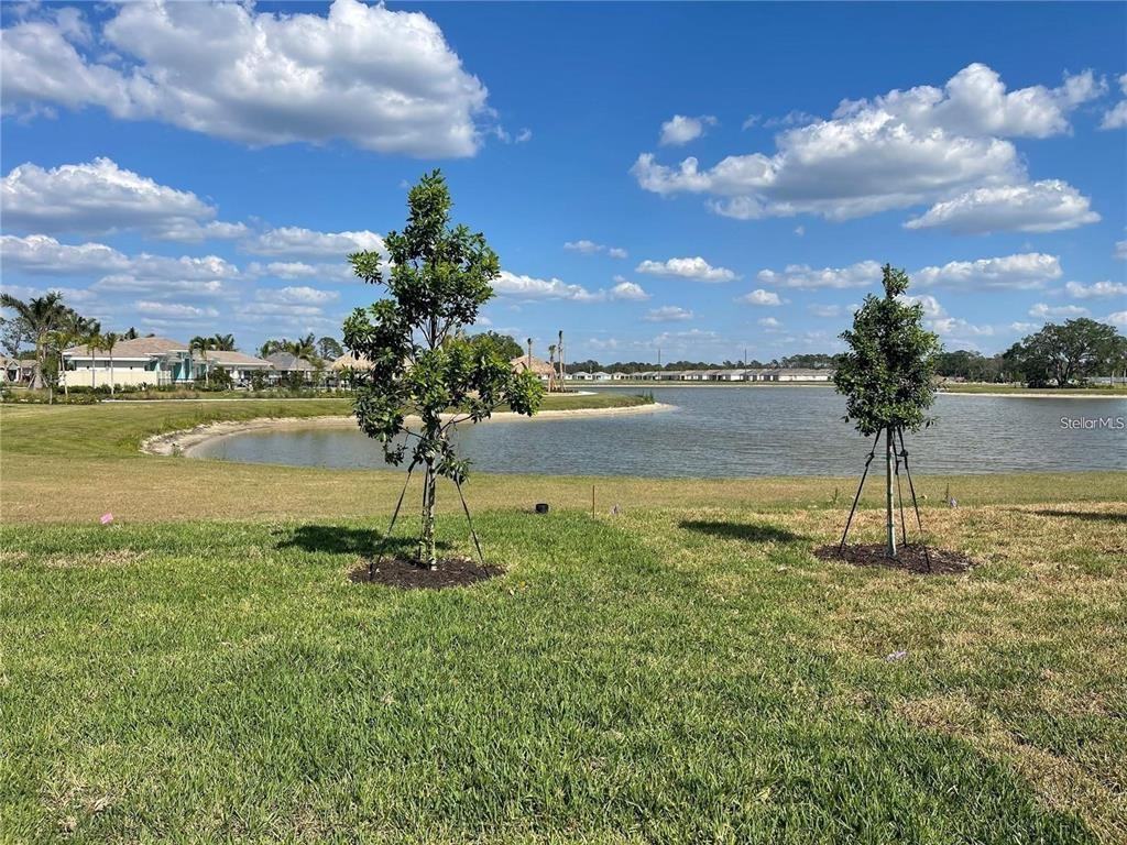 209 Ibiza Loop #209 - Photo 6 of 17